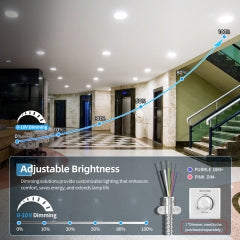 Commercial downlight brightness and 0-10V dimming illustration