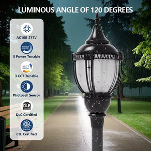 High-output LED acorn post top light illustrating a 120 degree luminous angle