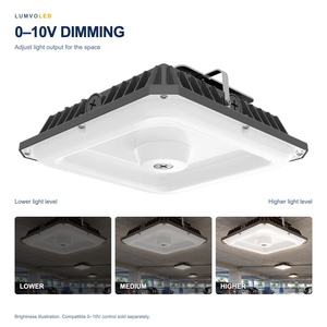 100W LED CANOPY — dimming